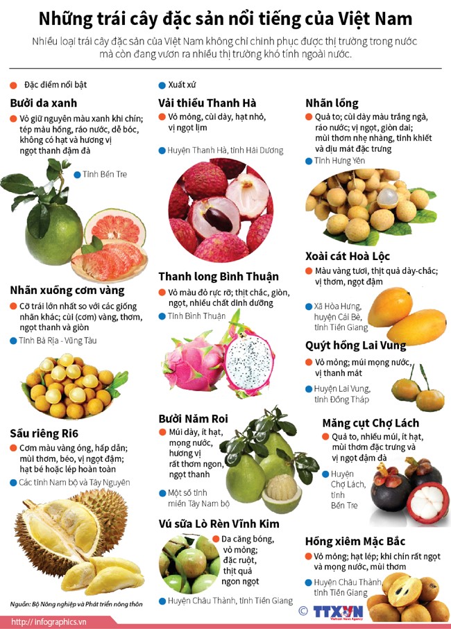 Những trái cây đặc sản nổi tiếng của Việt Nam | baotintuc.vn
