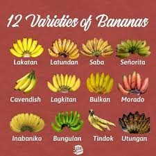 12 varieties of banana. - Philippine Farmers | Facebook