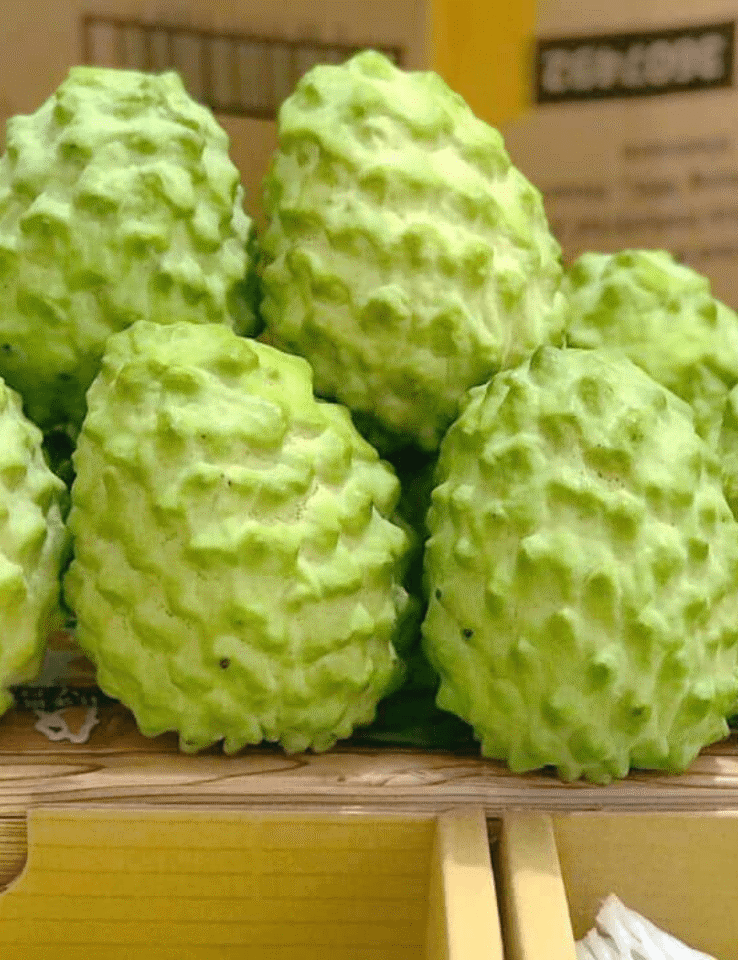 Na Đài Loan bao nhiêu 1kg | Hoa Quả Sạch Fuji Fruit | Hệ thống hoa quả sạch  nhập khẩu Fuji