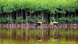 9 khu dự trữ sinh quyển của Việt Nam được UNESCO công nhận